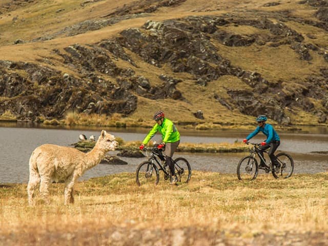 Passeios de bicicleta organizada pelo explora